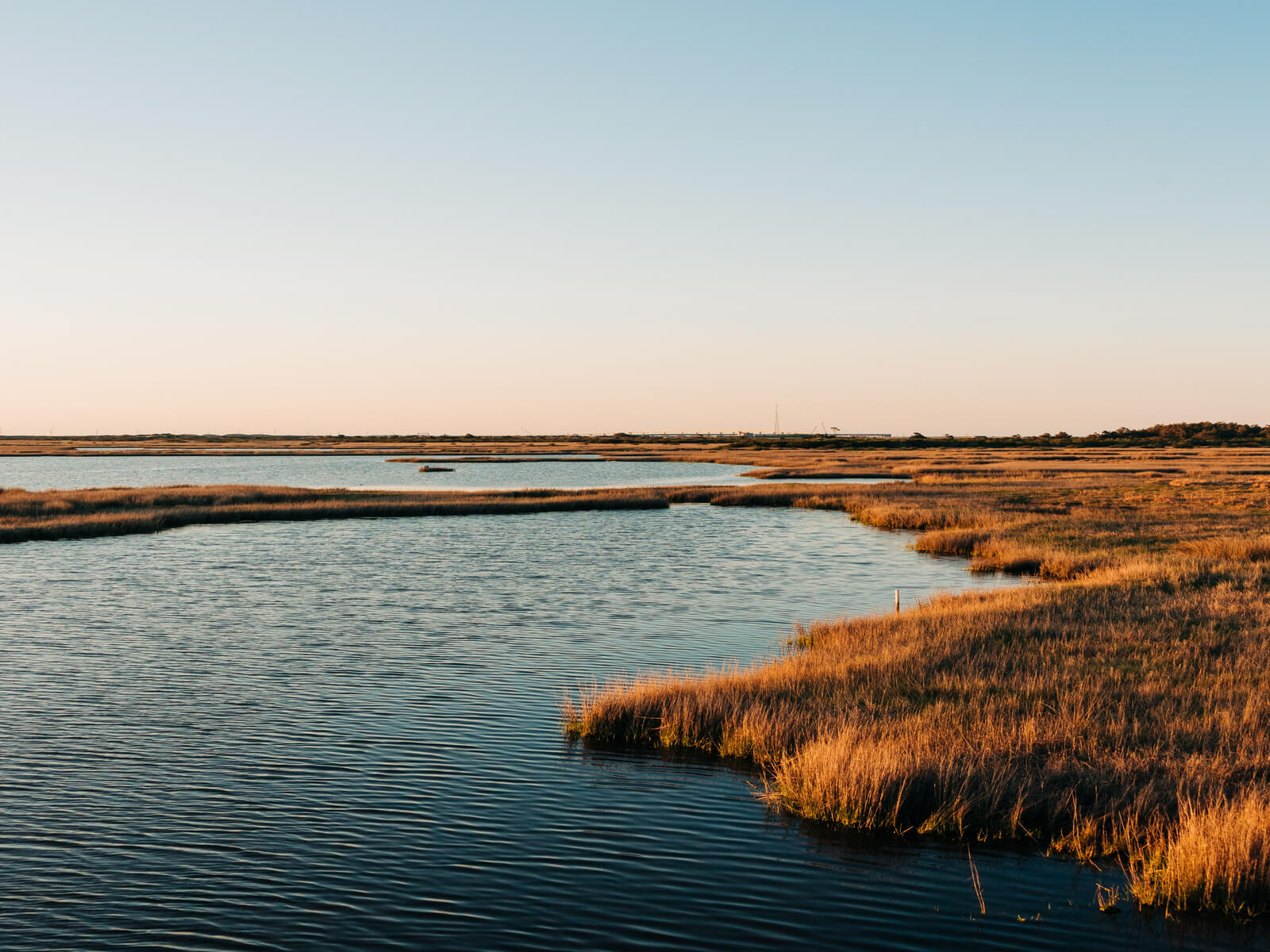 12 Intriguing Facts About Coastal Plain Facts