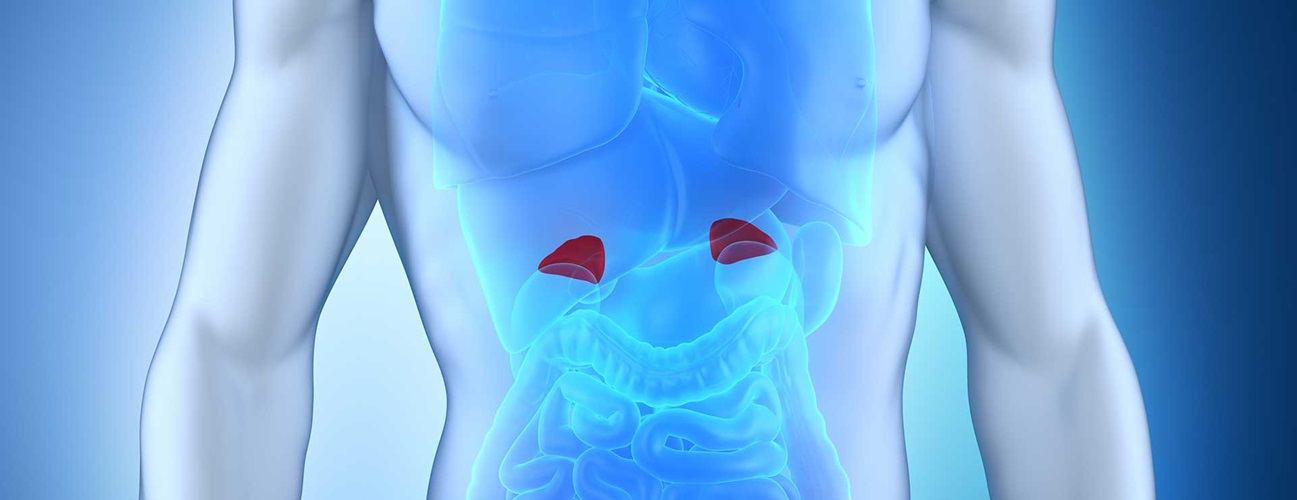 12-mind-blowing-facts-about-adrenal-glands