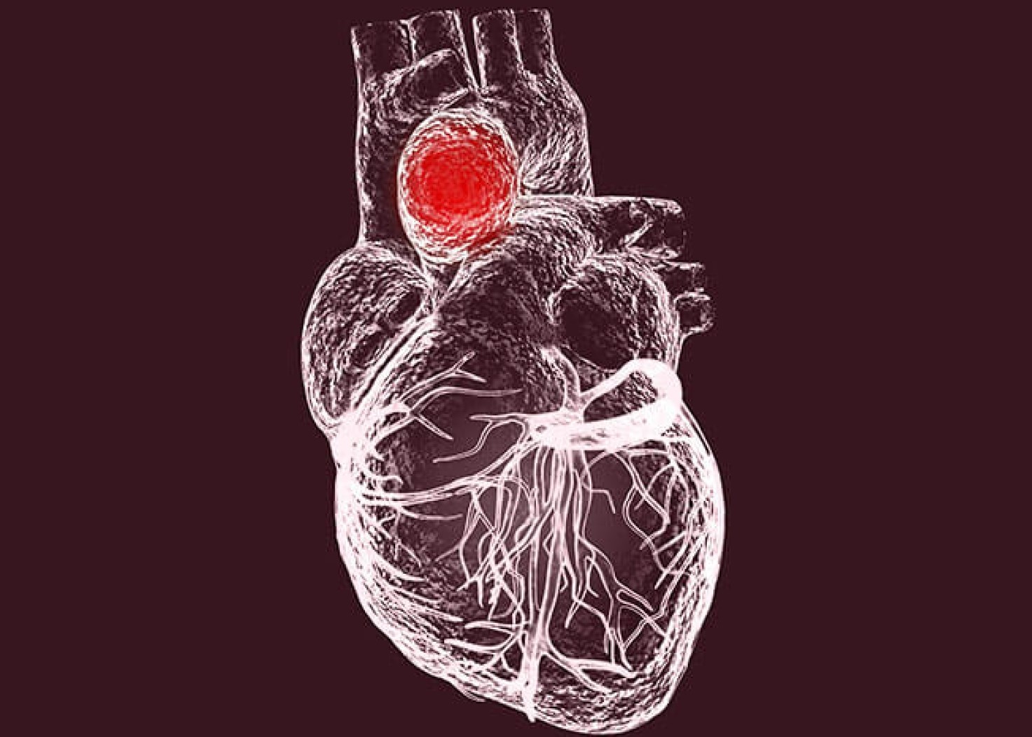 13-captivating-facts-about-aorta