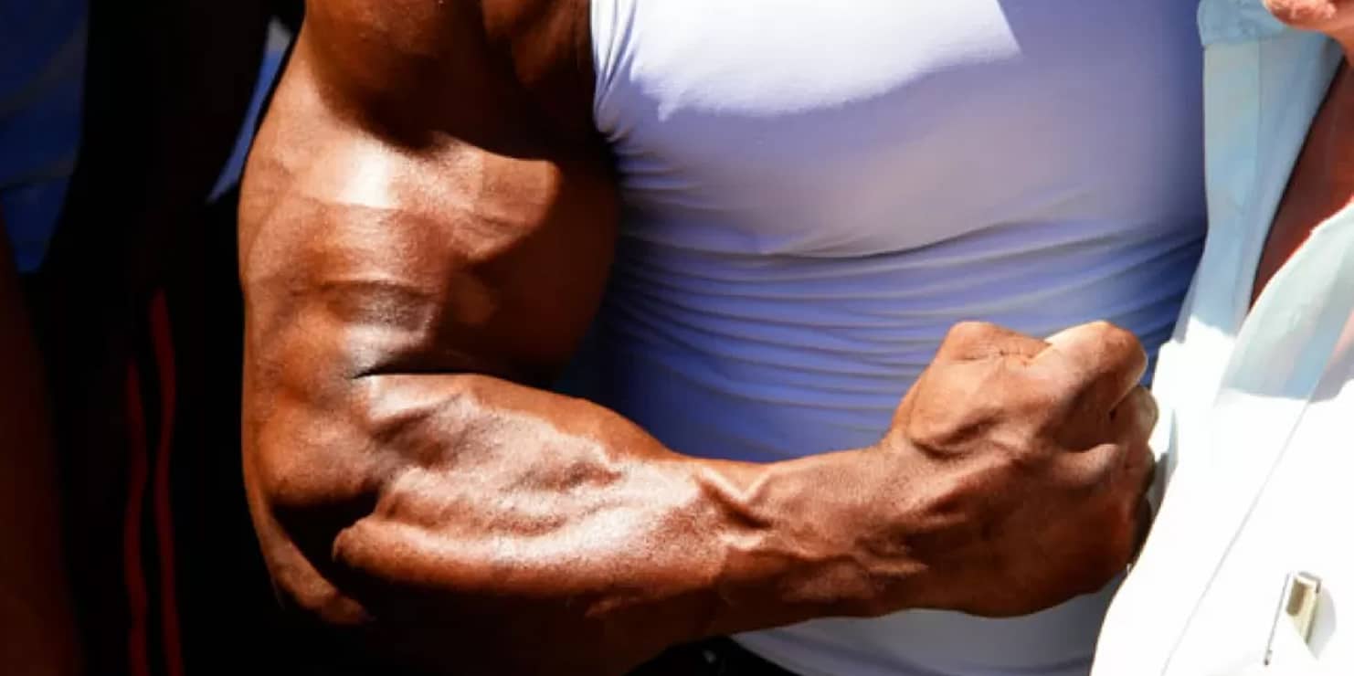 13-enigmatic-facts-about-brachioradialis
