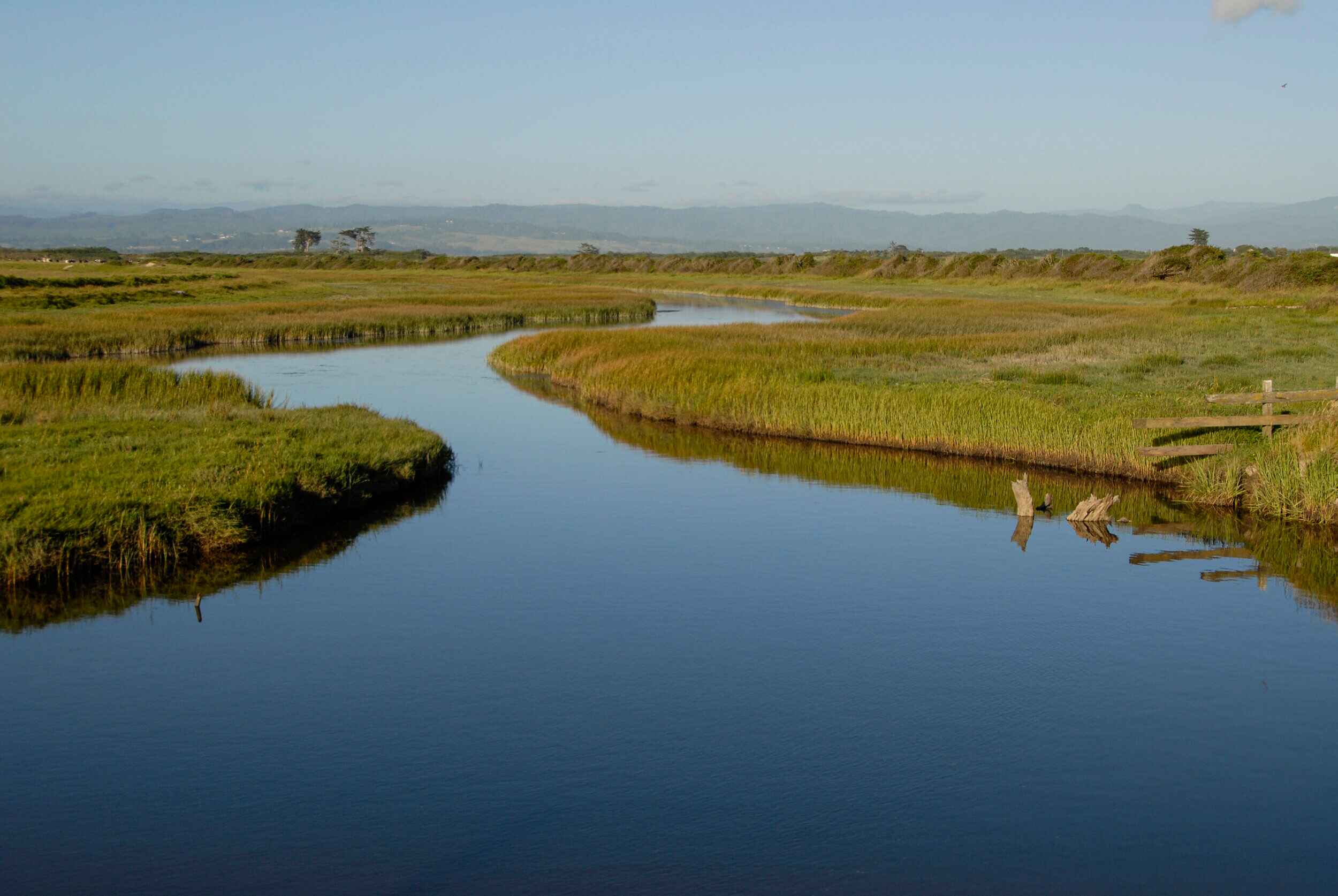 13-extraordinary-facts-about-estuary