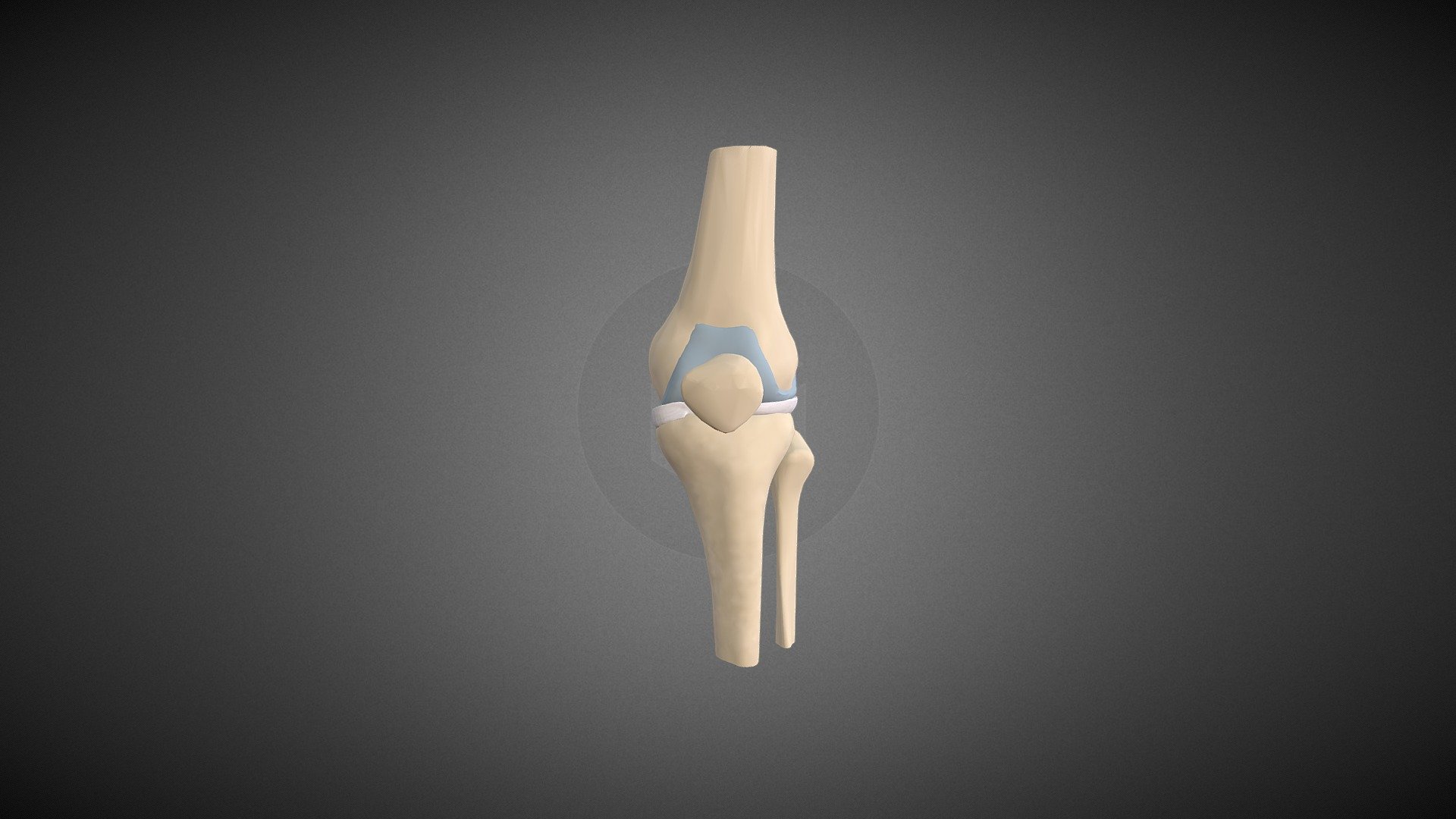 13-surprising-facts-about-cartilage