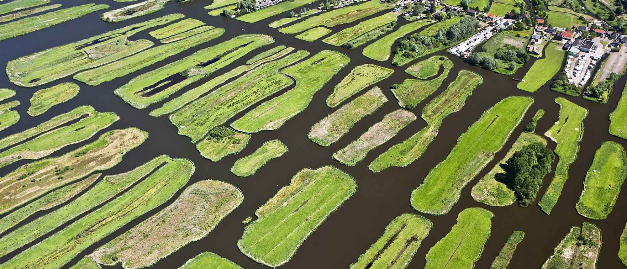 13-unbelievable-facts-about-polder