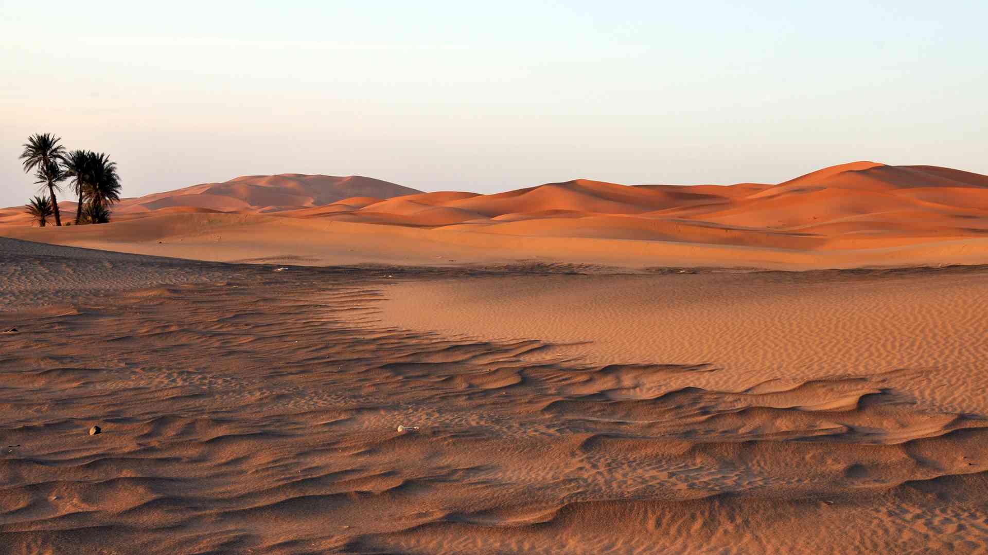 14 Astonishing Facts About Hot Deserts Facts