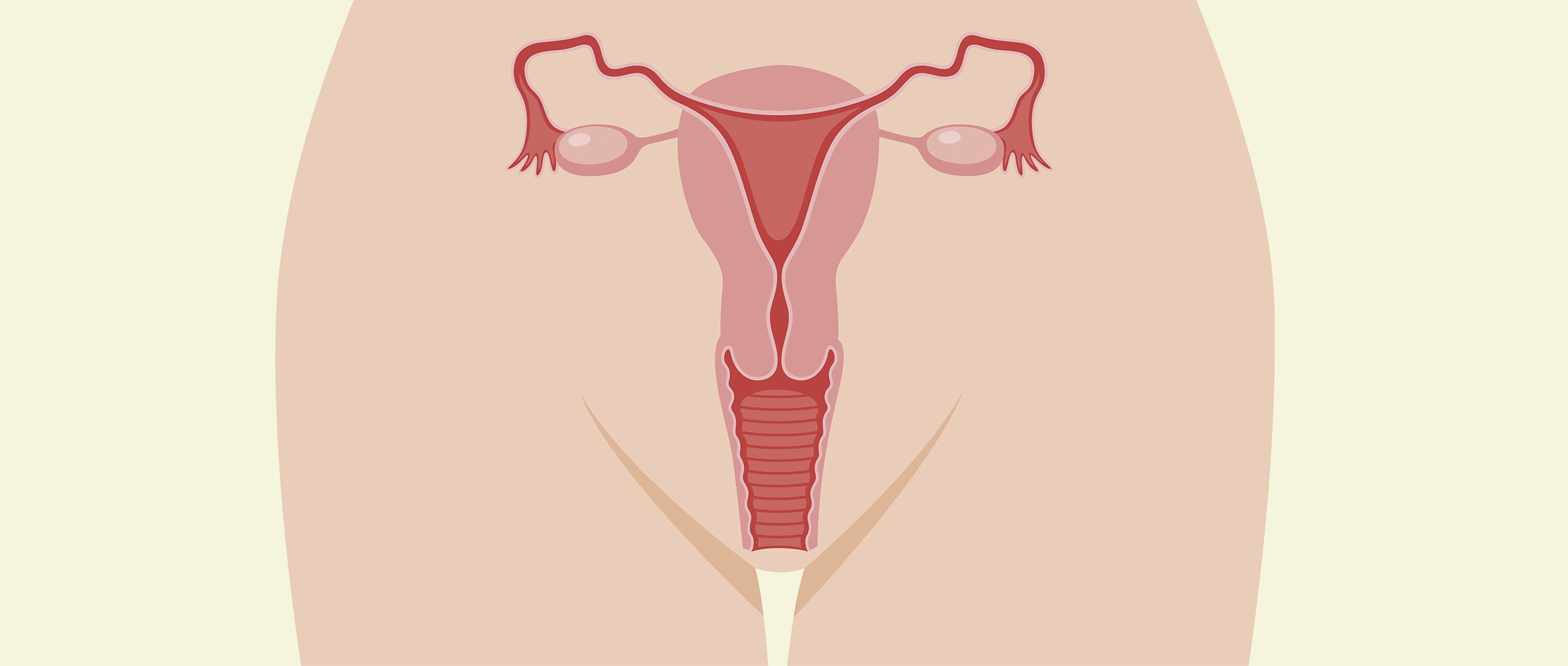 14-captivating-facts-about-uterine-cavity