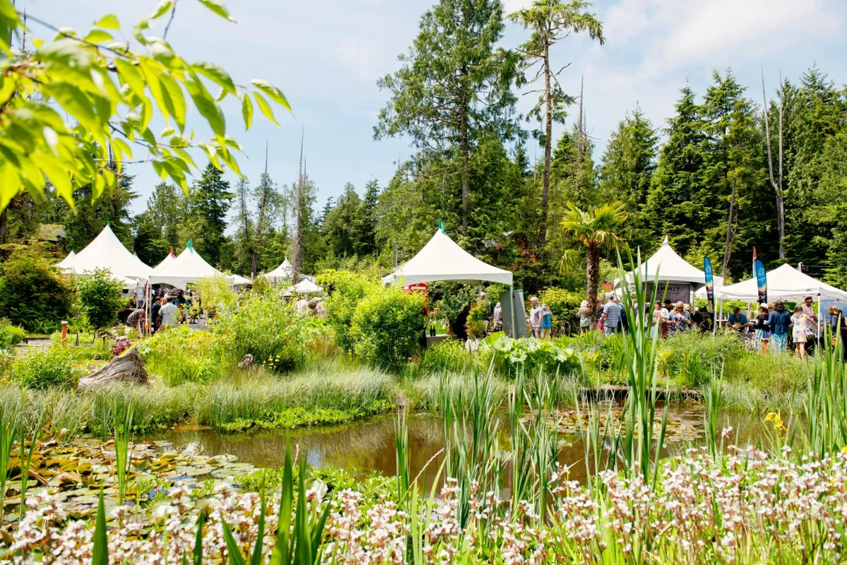 14-facts-about-tofino-food-and-wine-festival
