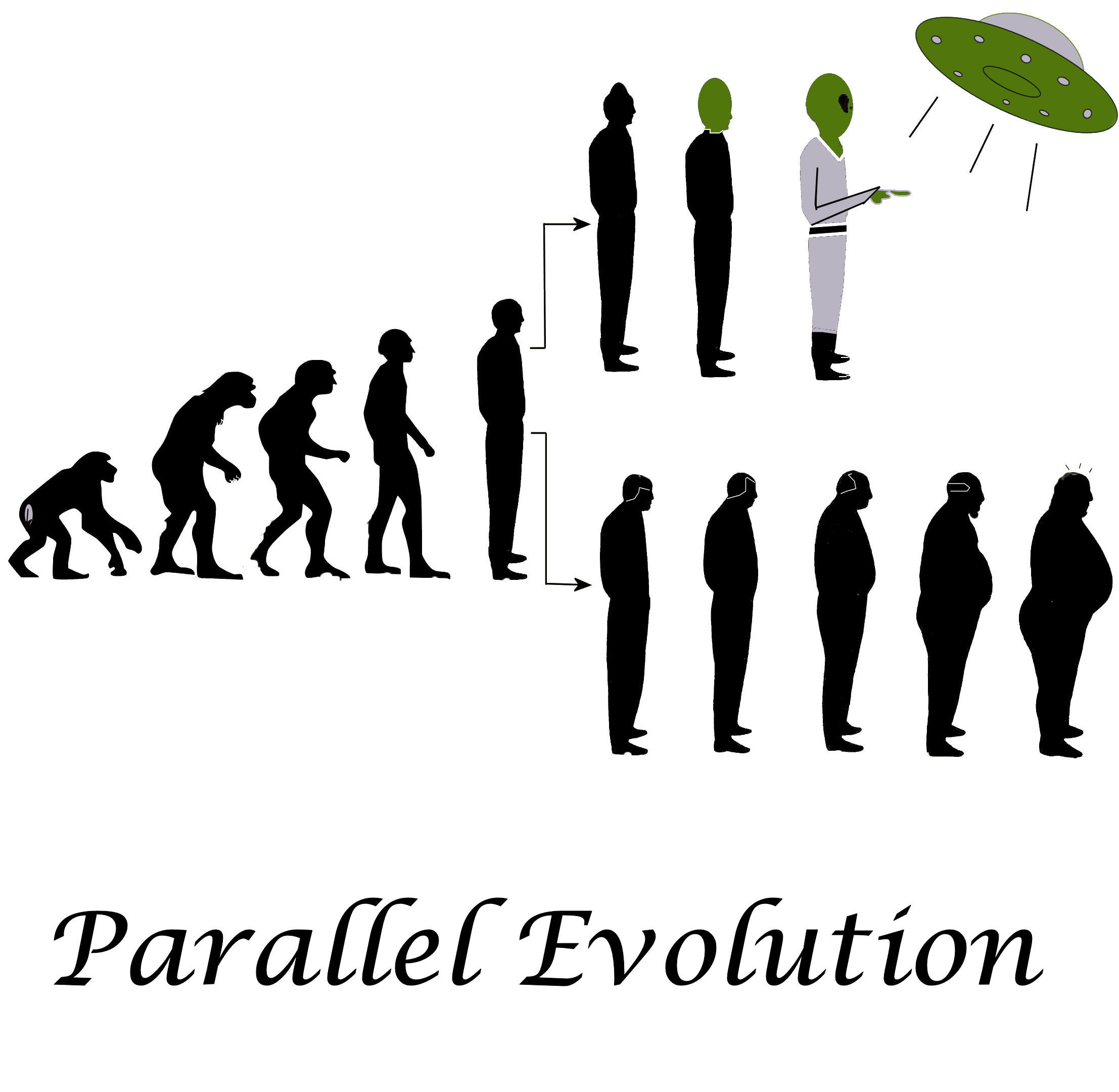 14-mind-blowing-facts-about-parallel-evolution