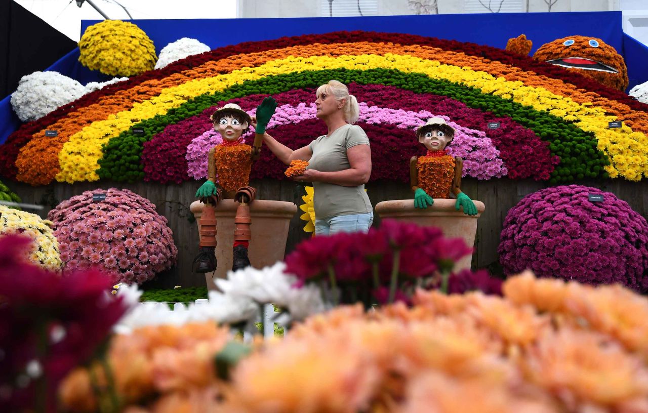 15-facts-about-flower-show