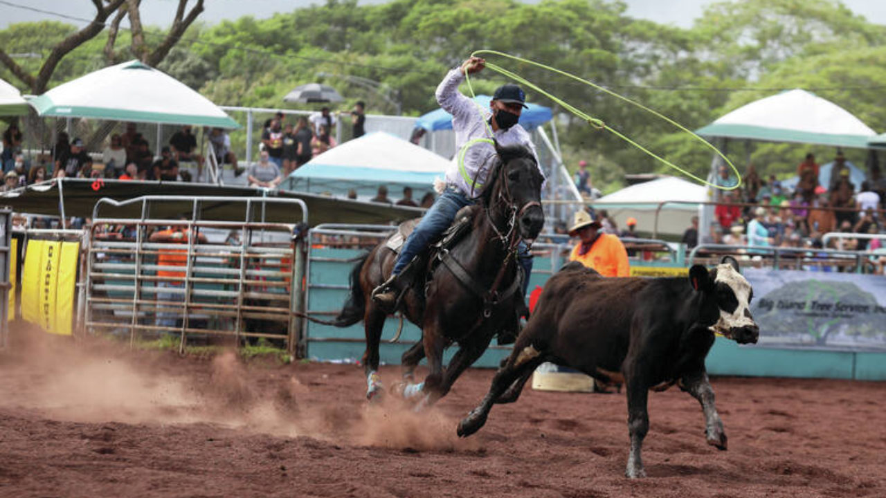 15-facts-about-panaewa-stampede-rodeo