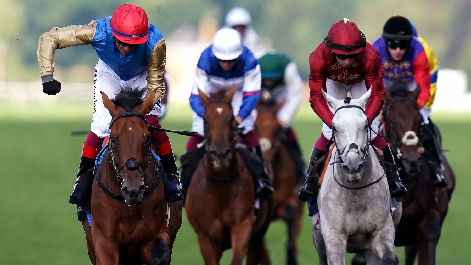 16-facts-about-queens-vase-horse-racing