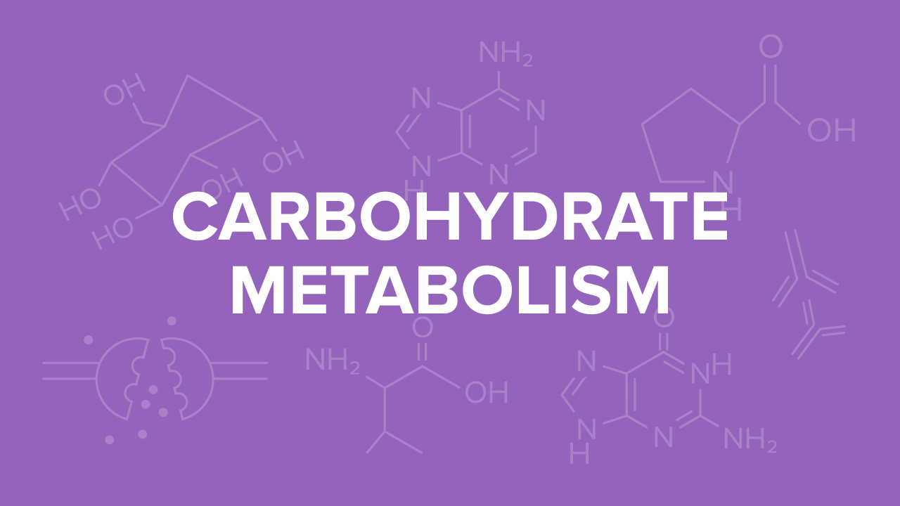 16-fascinating-facts-about-carbohydrate-metabolism