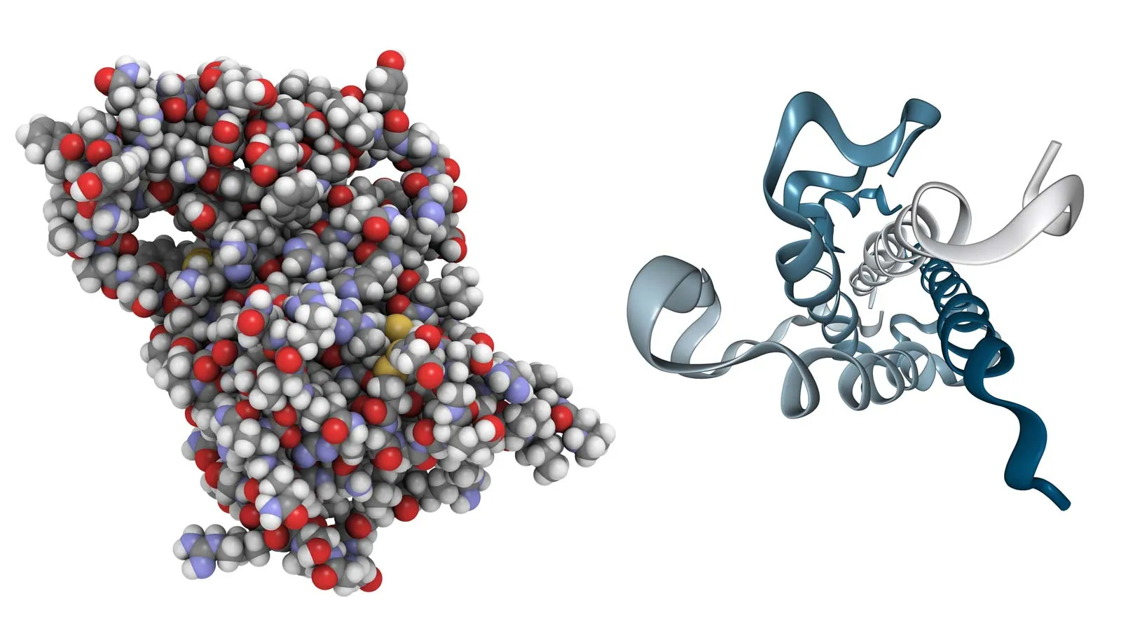 16-fascinating-facts-about-growth-hormone-gh