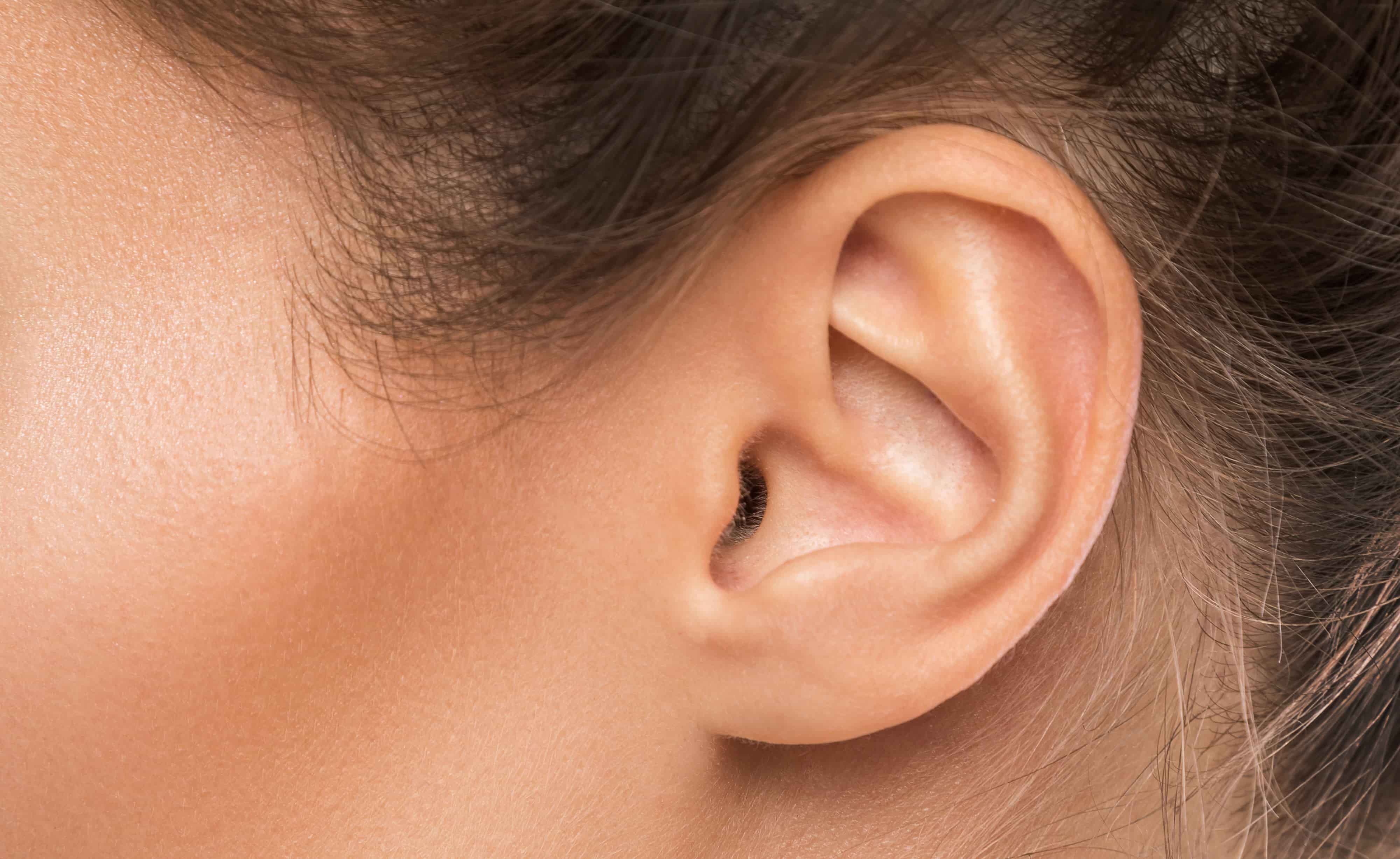 16-mind-blowing-facts-about-pinna-auricle