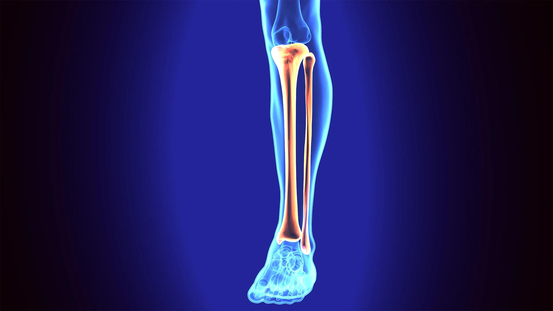 16-surprising-facts-about-tibia
