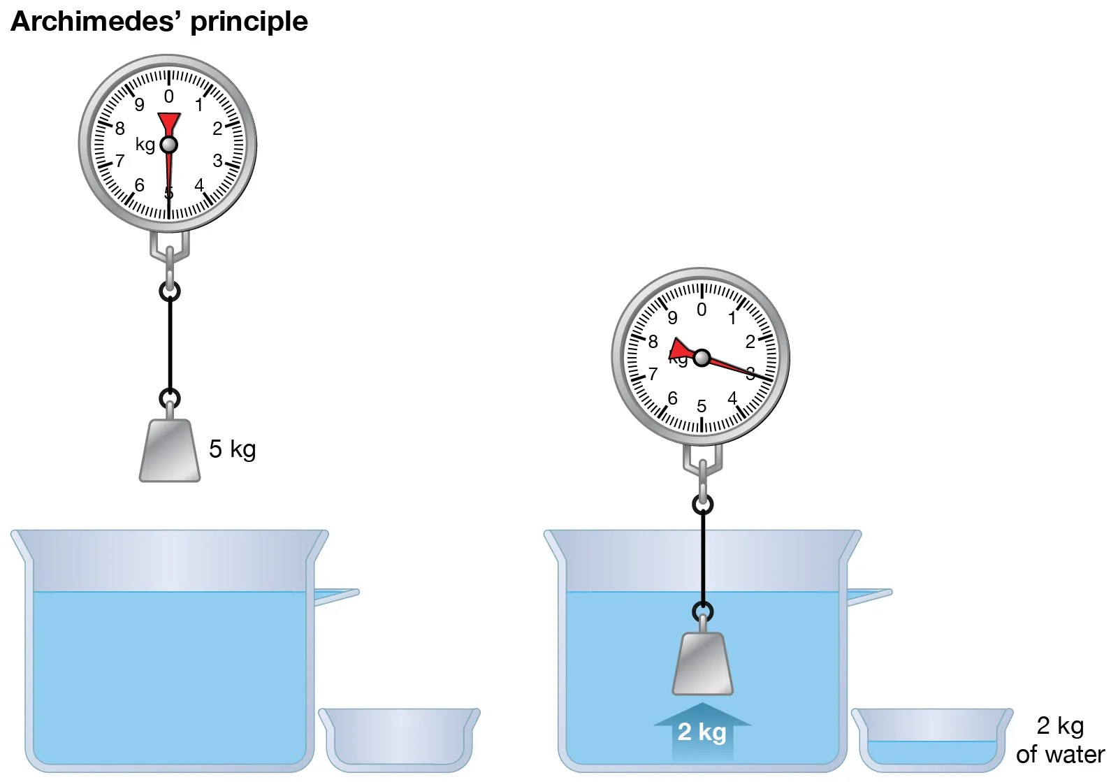 17-captivating-facts-about-archimedes-principle