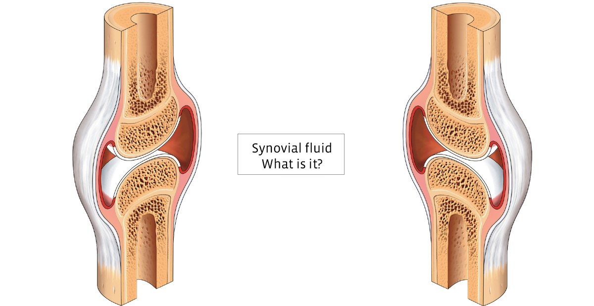 17-captivating-facts-about-synovial-fluid