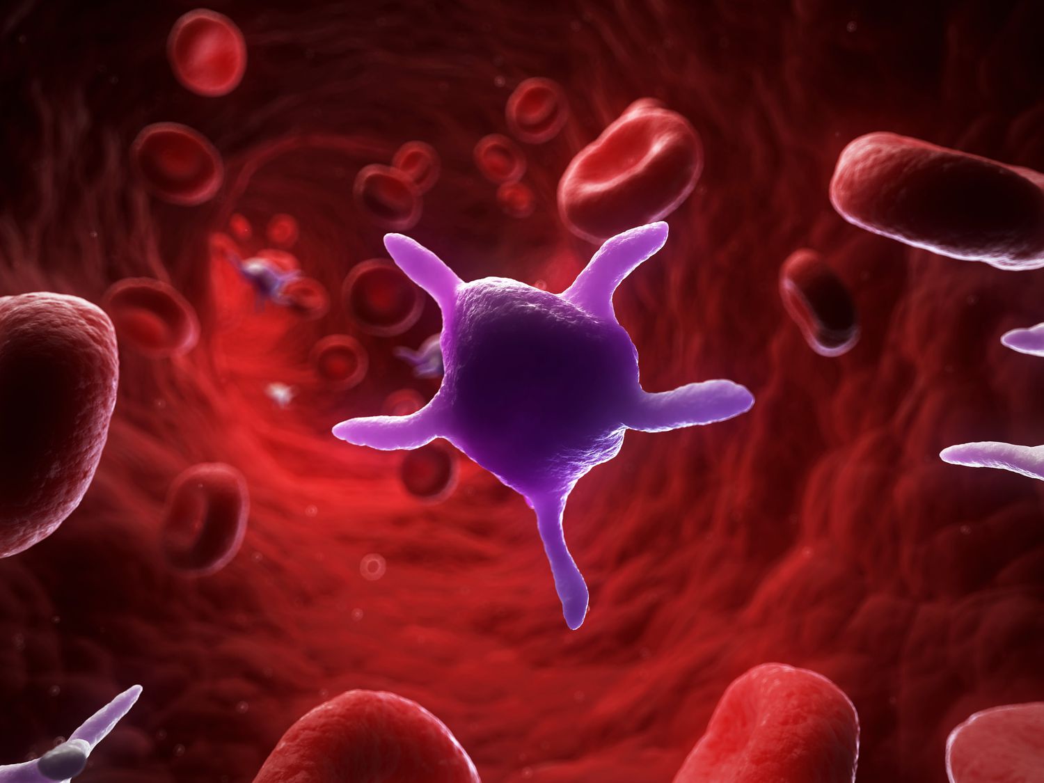 17-fascinating-facts-about-platelets-thrombocytes