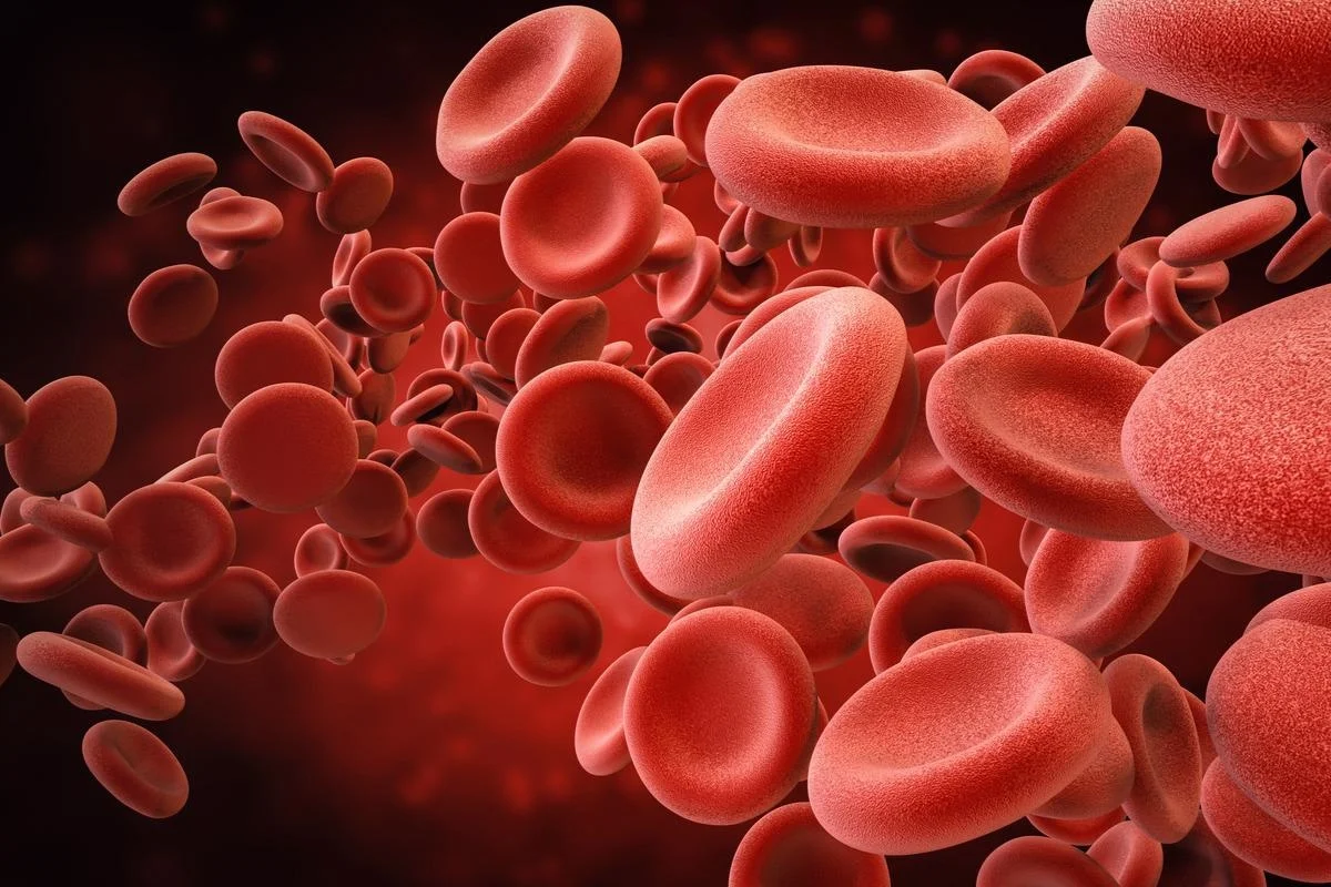 17-mind-blowing-facts-about-red-blood-cells-erythrocytes