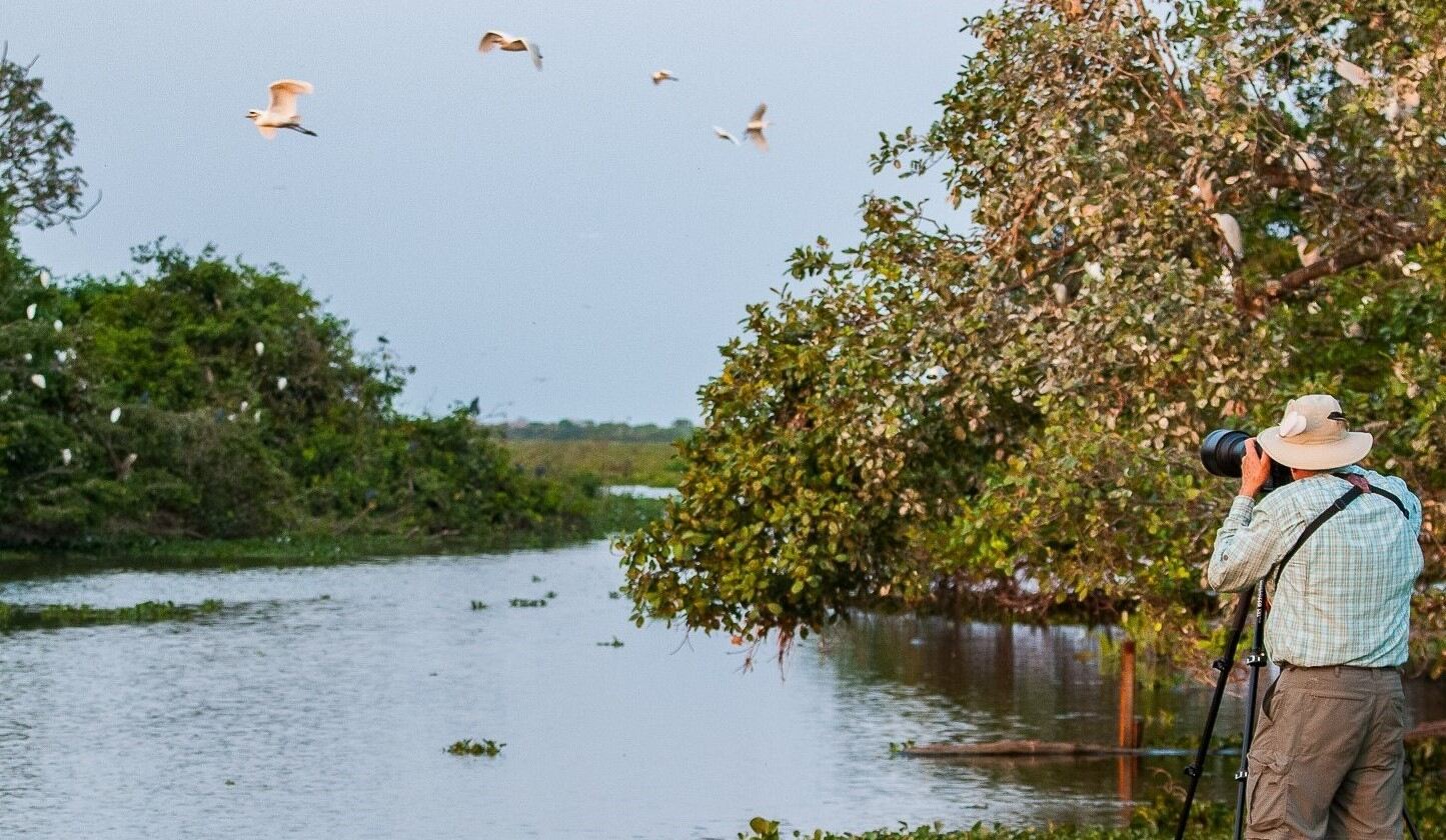 18-facts-about-pantanal-bird-watching-festival
