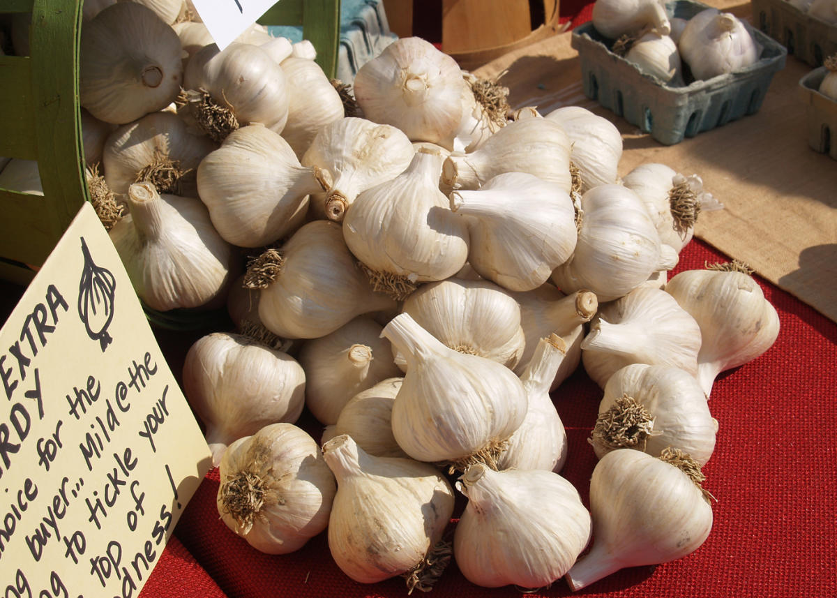 18-facts-about-pocono-garlic-festival