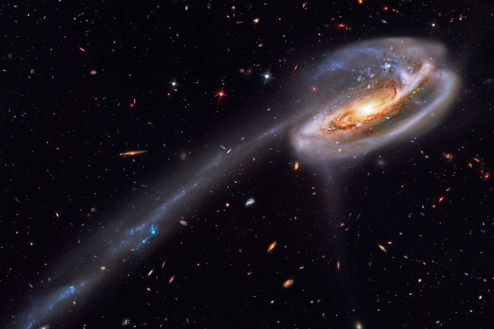 universe filaments galaxies clusters