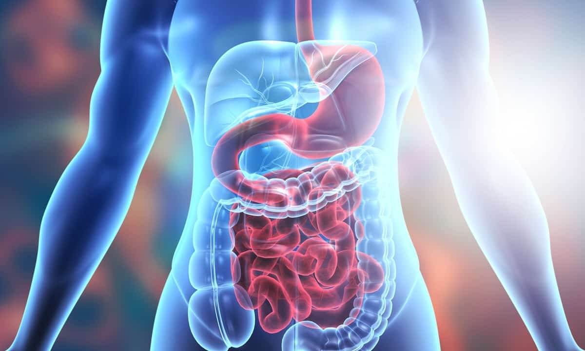 19-enigmatic-facts-about-digestive-system
