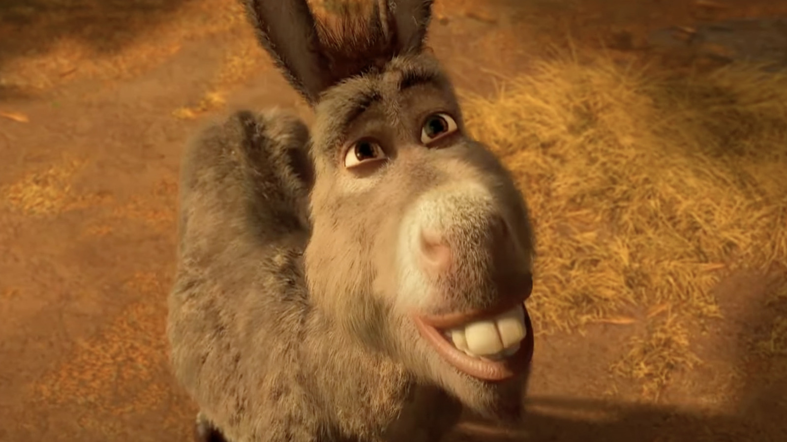 19 Facts About Donkey (Shrek) - Facts.net