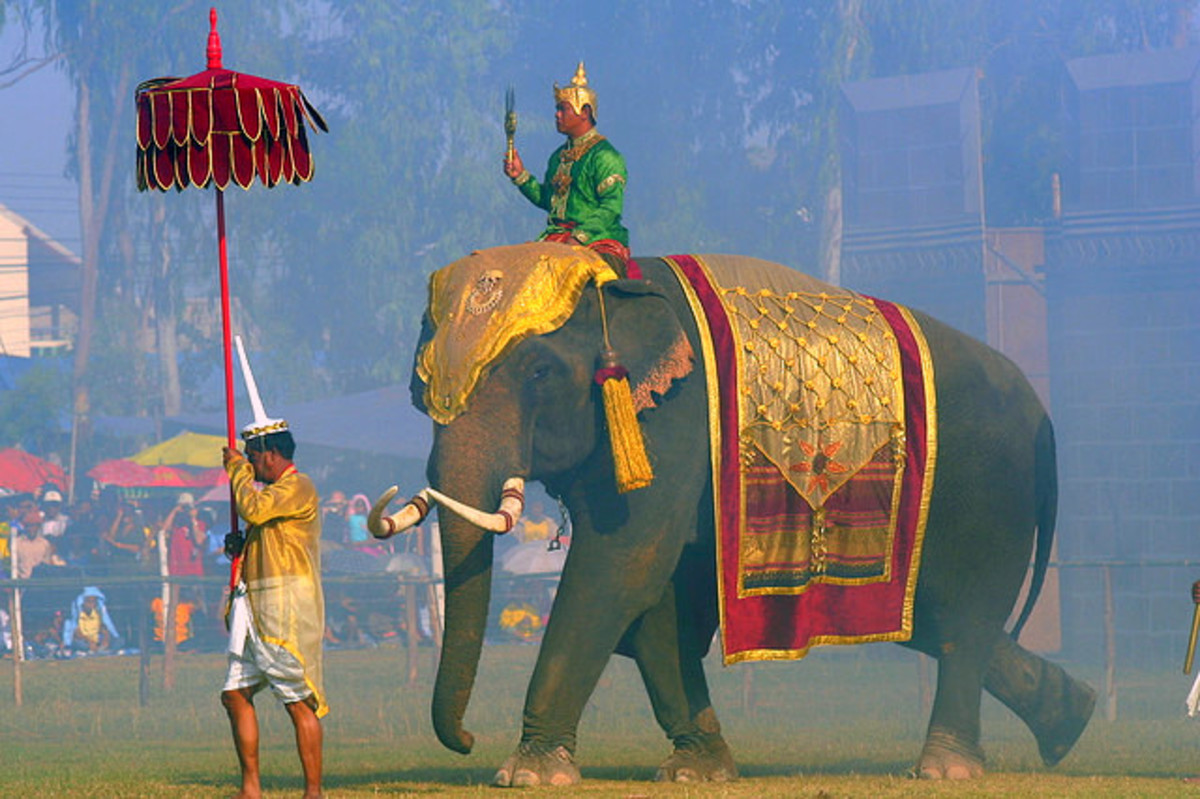 19-facts-about-surin-elephant-round-up
