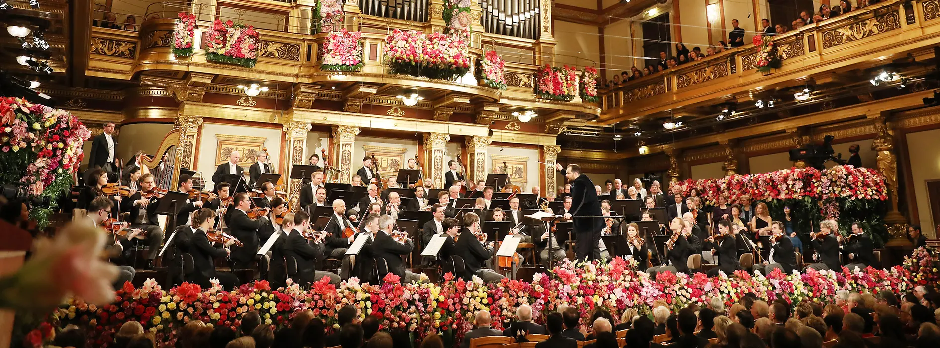 19 Facts About Vienna New Year's Concert