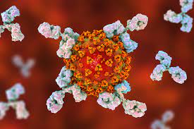 19-fascinating-facts-about-antibodies