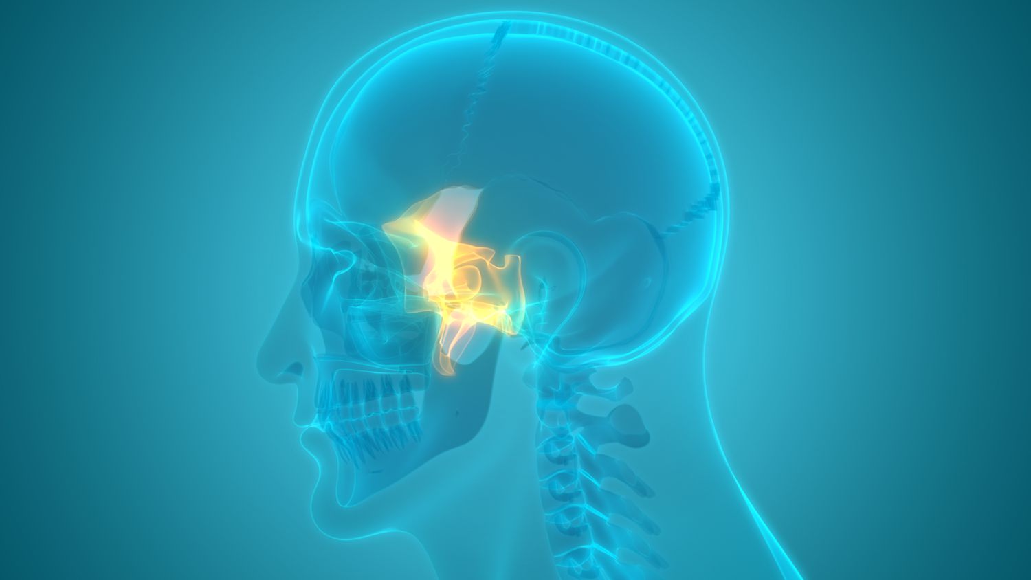 19-intriguing-facts-about-sphenoid-bone
