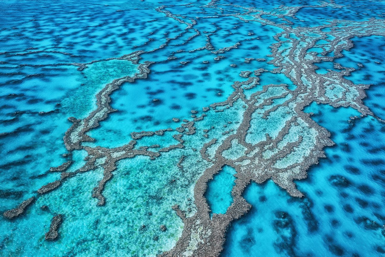 20 Astounding Facts About Great Barrier Reef - Facts.net