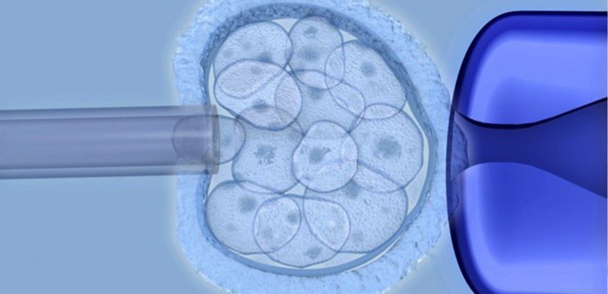 20-extraordinary-facts-about-embryonic-stem-cells