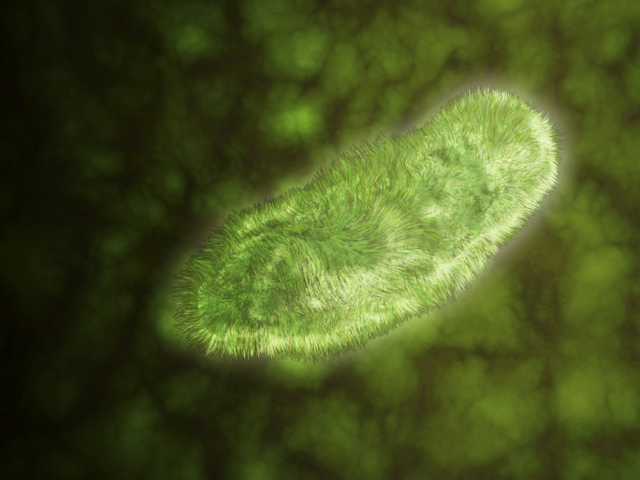 20-extraordinary-facts-about-protozoan-diseases