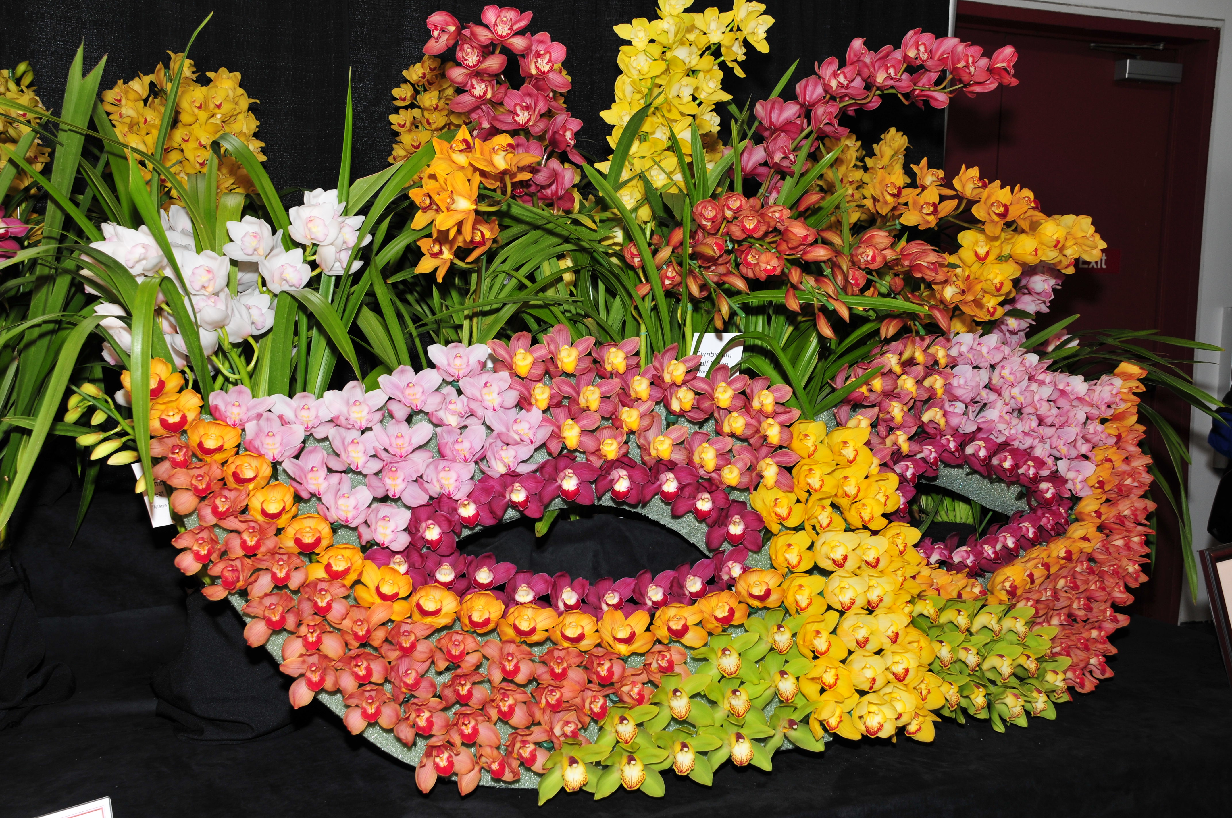20-facts-about-pacific-orchid-exposition