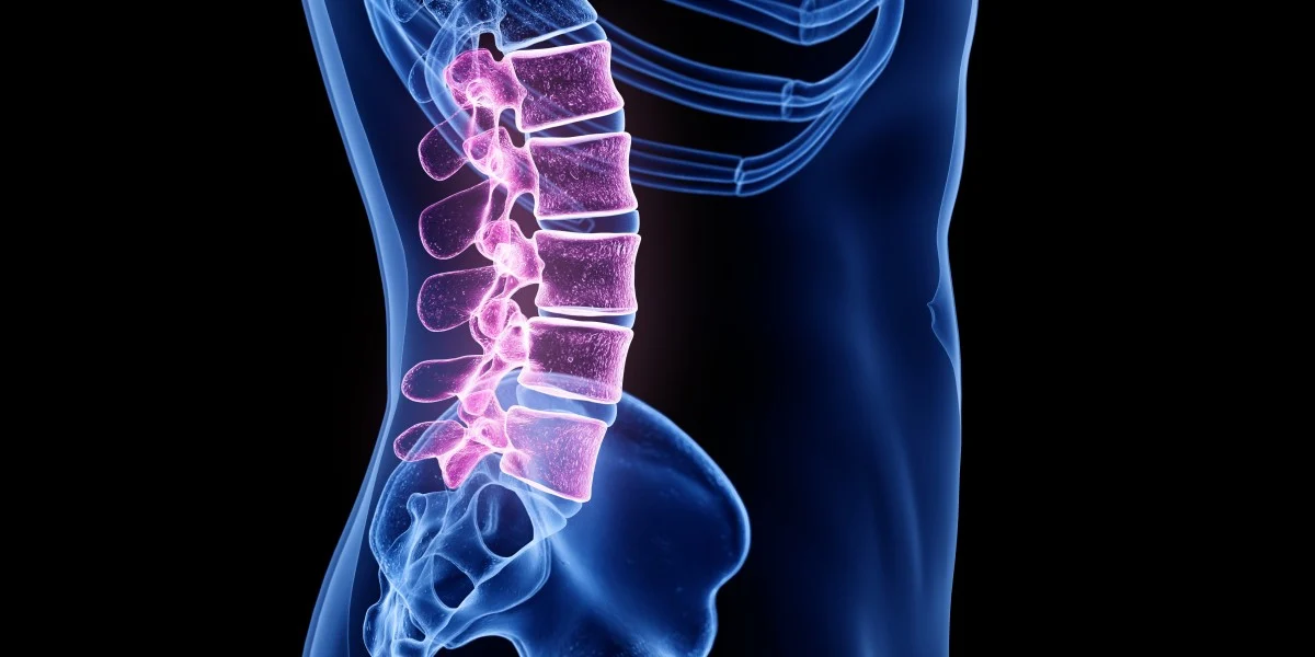 20-intriguing-facts-about-lumbar-region