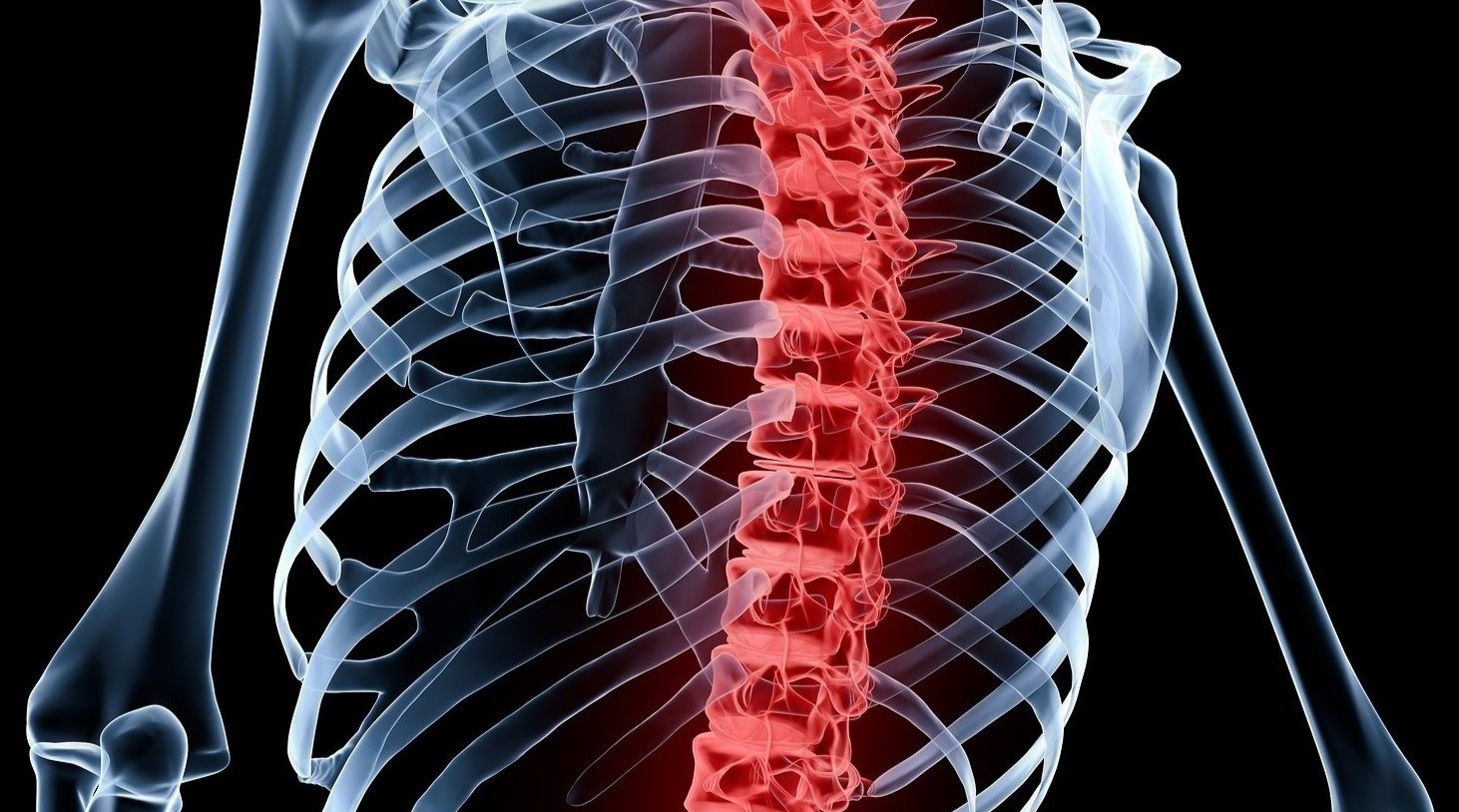 20-intriguing-facts-about-spinal-cord