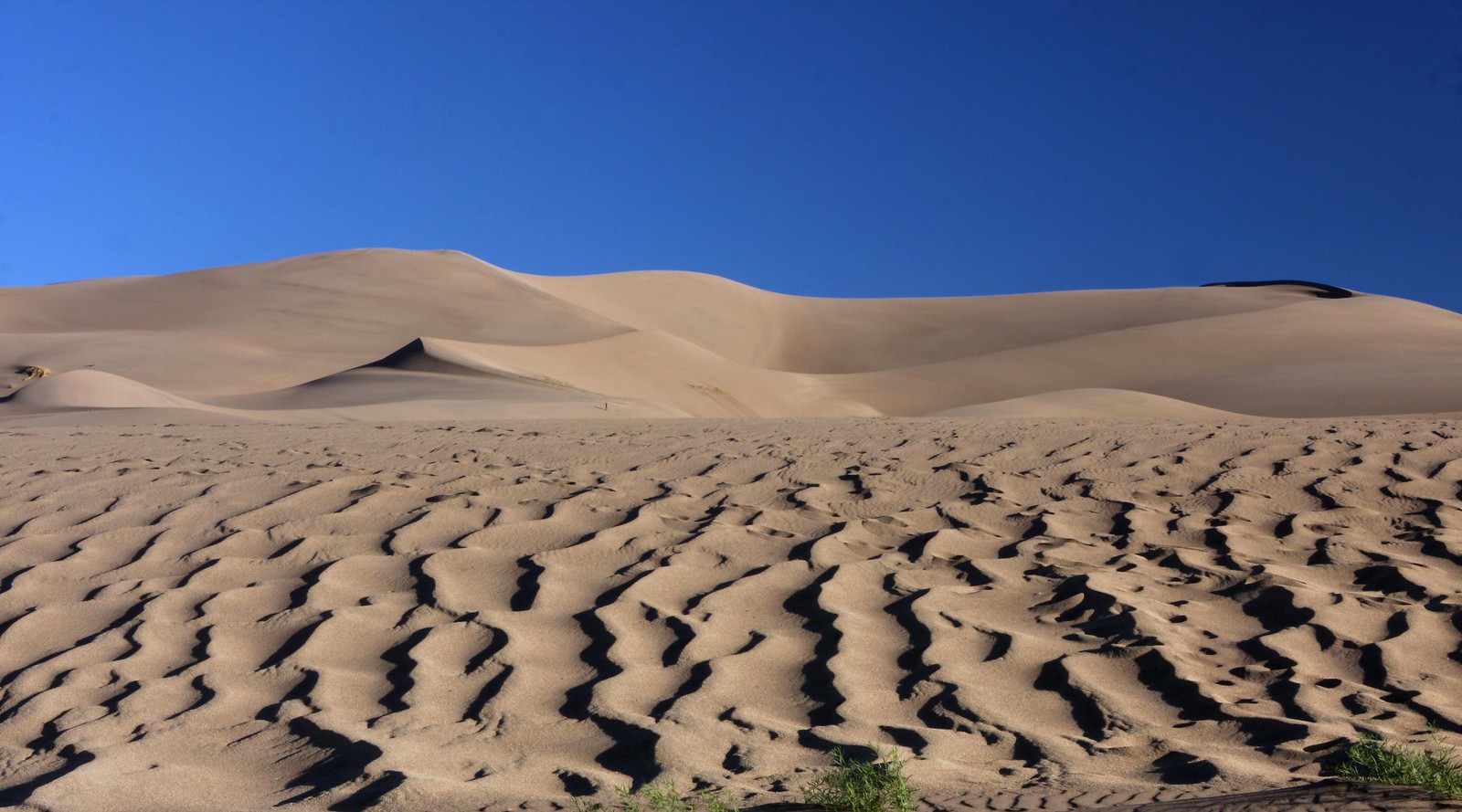 20 Mind Blowing Facts About Transverse Dunes