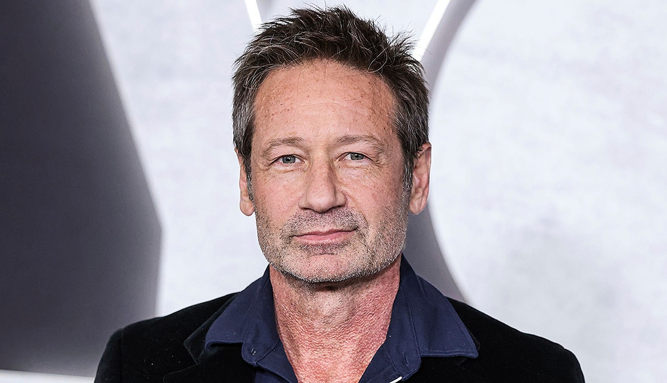 34 Facts About David Duchovny - Facts.net