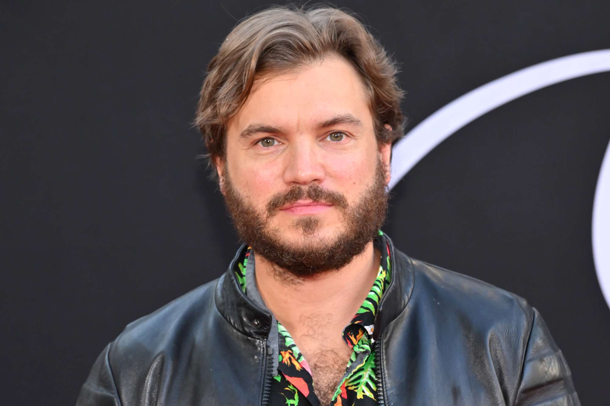 42-facts-about-emile-hirsch