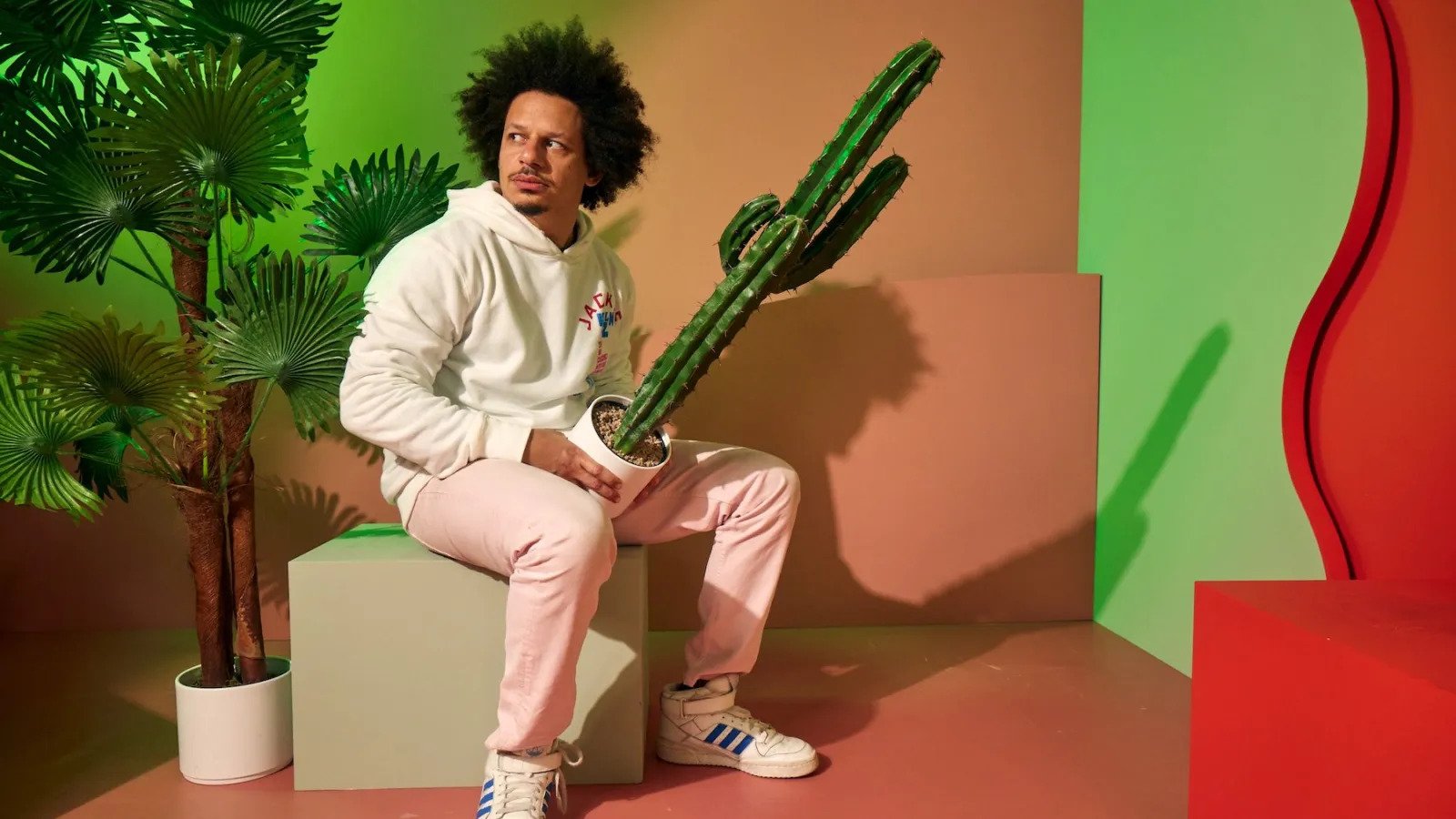 47 Facts About Eric Andre - Facts.net