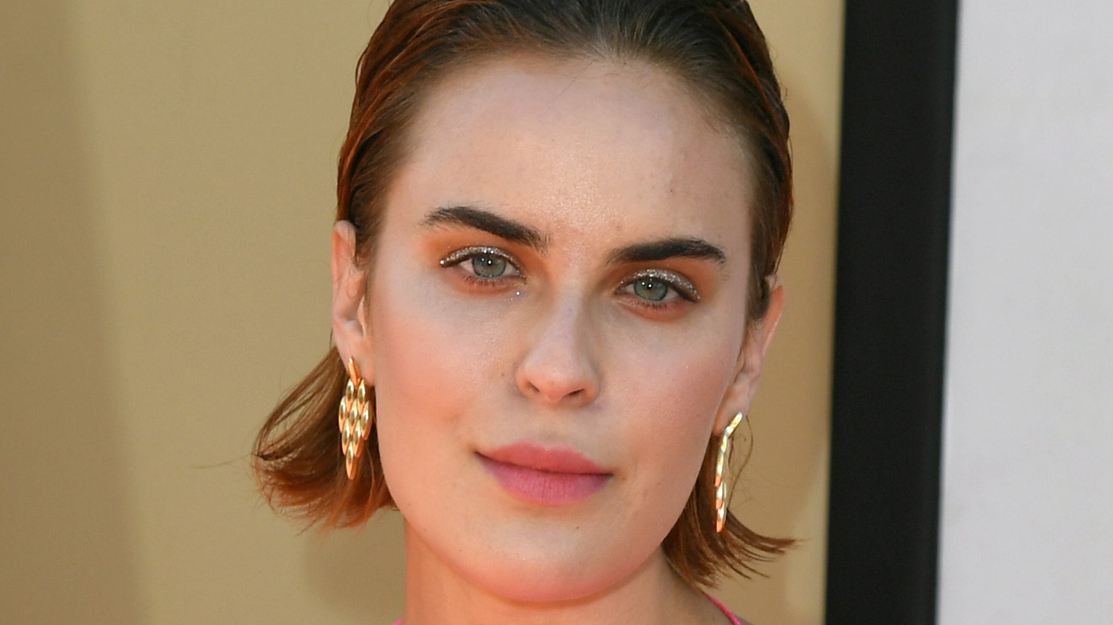 50-facts-about-tallulah-willis