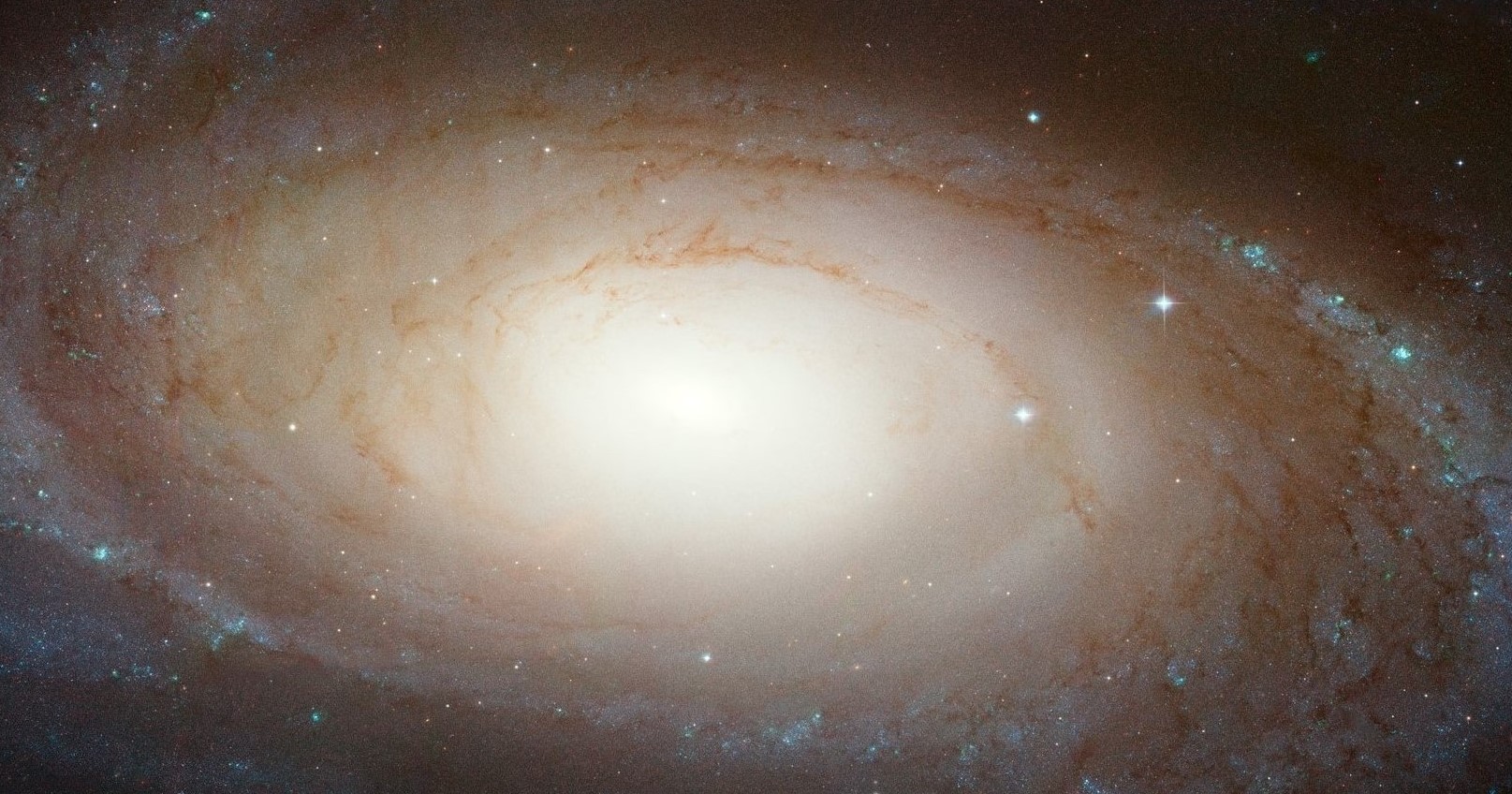 8-captivating-facts-about-messier-81-m81