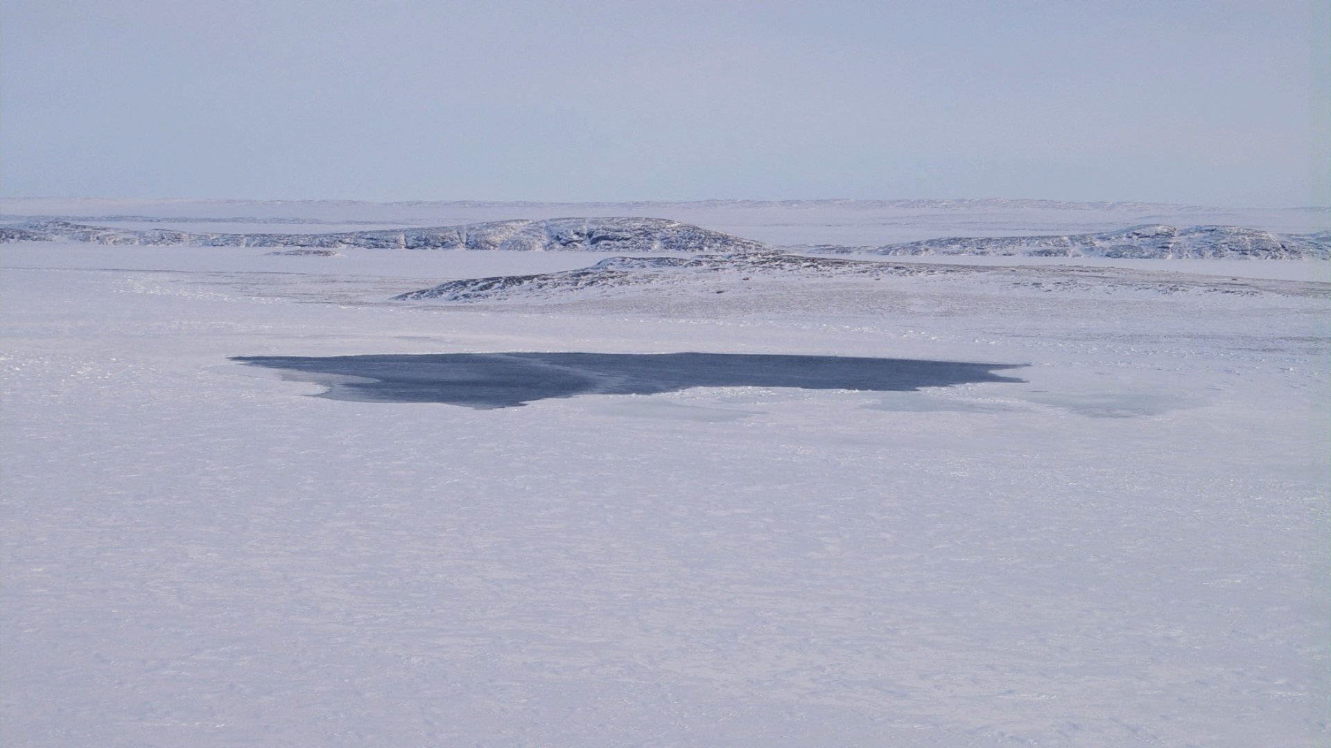8-extraordinary-facts-about-polynya