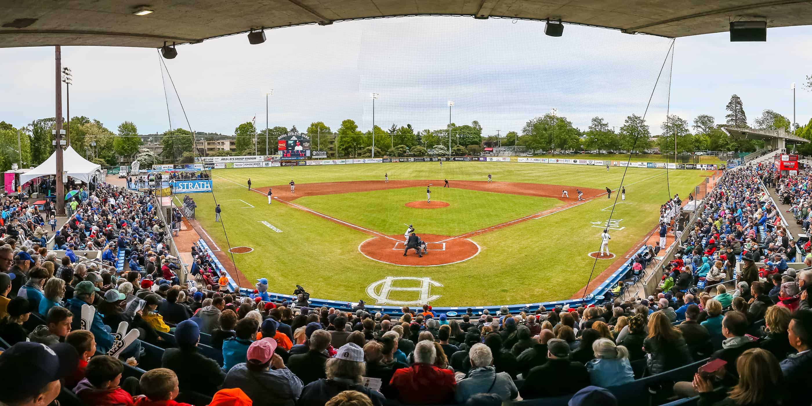 8-facts-about-victoria-harbourcats-baseball-games