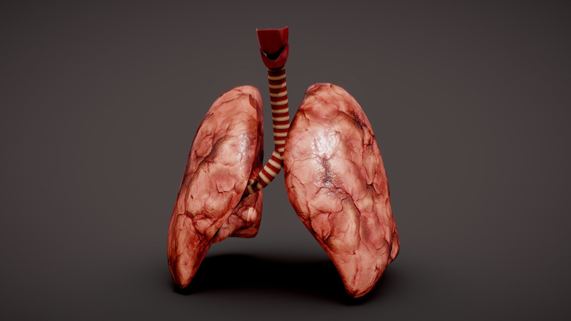 8-surprising-facts-about-lungs