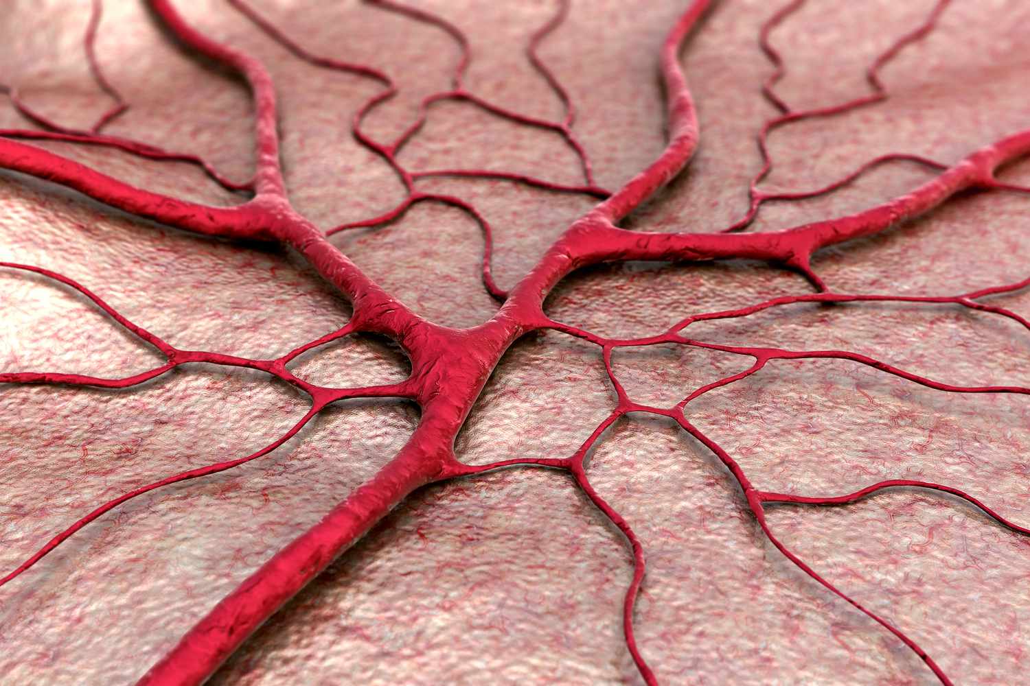 9-extraordinary-facts-about-capillaries