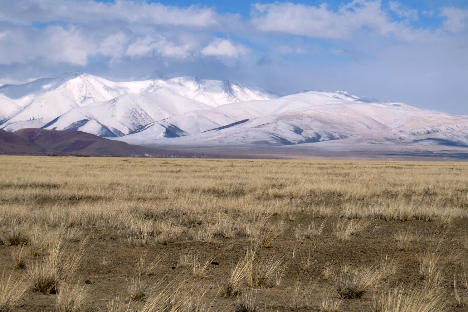 9-extraordinary-facts-about-steppe