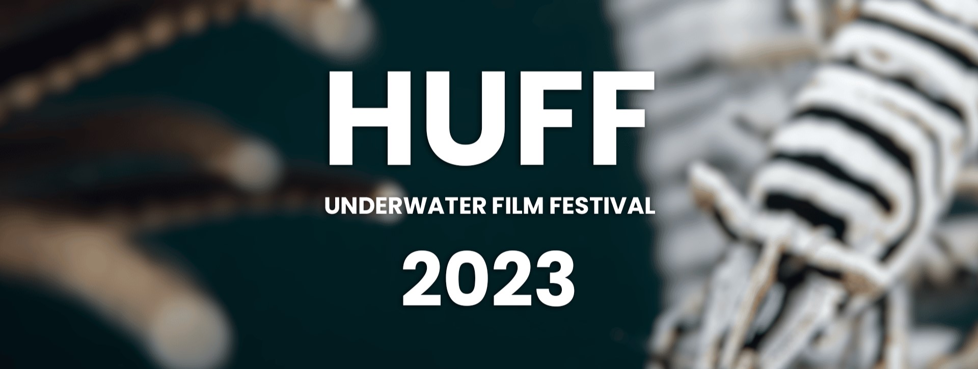 9-facts-about-underwater-film-festival