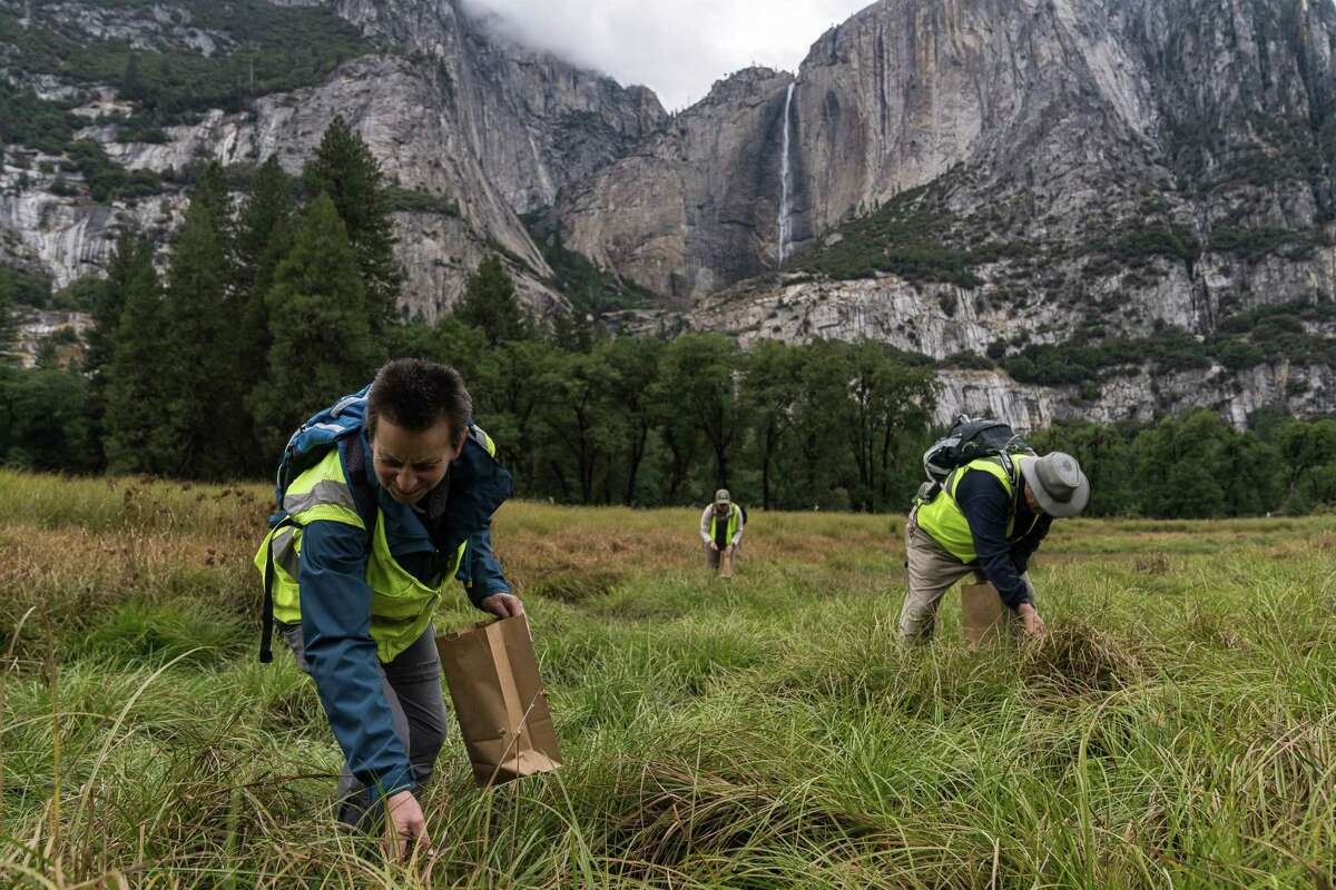 9-facts-about-yosemite-facelift-volunteer-cleanup-event